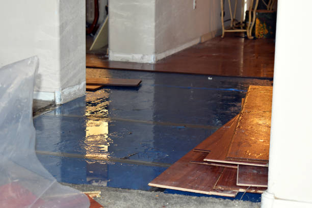 Professional Flood Cleanup technician working in Hampstead, NC